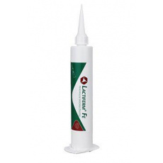 Lactiferm Fe pasta 80ml Lactiferm Fe pasta 80ml