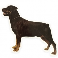 Samolepka hlava TRIXIE, Rottweiler tělo, kupírovaný