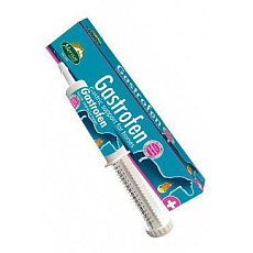 MERVUE GASTROFEN pasta 80ml