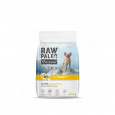 RAW PALEO Ultra Mini Puppy Turkey - suché krmivo pro štěňata - 750 g