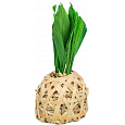 Ananas, hračka pro hlodavce, bambus, kukuřičné listy, seno, 6,5 × 14 cm
