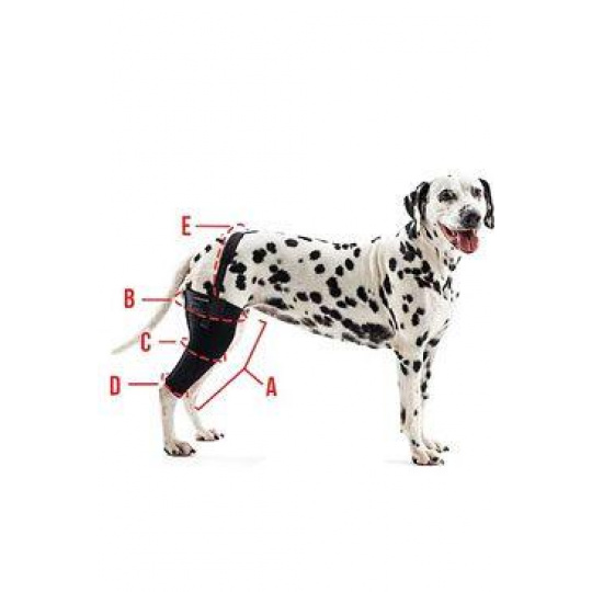 Bandáž Rehab na koleno pro psa KRUUSE M Levá Bandáž Rehab na koleno pro psa KRUUSE M Levá