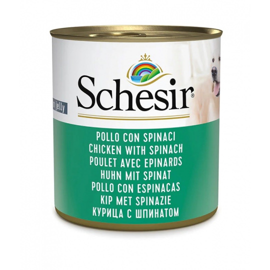 SCHESIR Chicken with spinach in jelly - vlhké krmivo pro psy - 285g