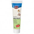 Sladová pasta pro hlodavce Multifruit  - mix ovoce,  100g