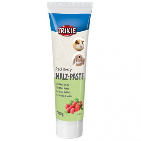 Sladová pasta pro hlodavce Multifruit  - mix ovoce,  100g