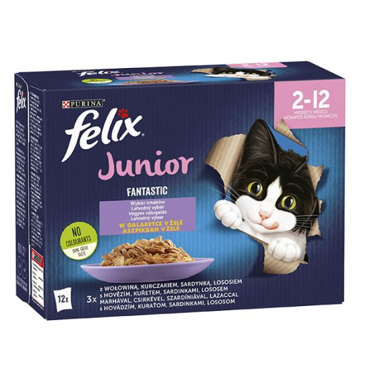 Felix Fantastic Želatinové krmivo pro koťata Hovězí, kuře, losos, sardinka - 12x 85 g