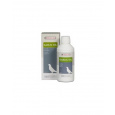 VL Holuby Garlic Oil 250 ml